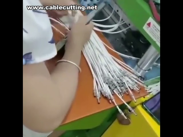 เครื่องฉีดพลาสติกขึ้นรูปสายเคเบิล เครื่องฉีดพลาสติกสายข้อมูล เครื่องจักรขึ้นรูปสายไฟ