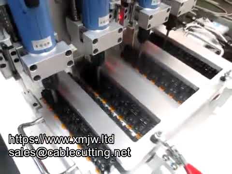 Automatic Desktop Dual-Head Multi-Head Screw Tightening Machine