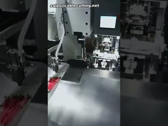 เครื่องย้ำสลักเกลียวกันน้ำสองหัวอัตโนมัติสำหรับสายไฟและเคเบิล | เพิ่มประสิทธิภาพการผลิตสายไฟ