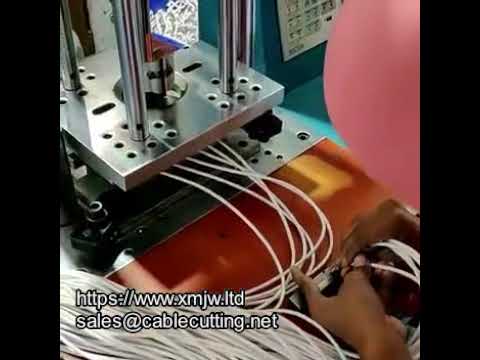 WPM-15 Injection Molding Machine for USB Data and Charger Cable Assembly