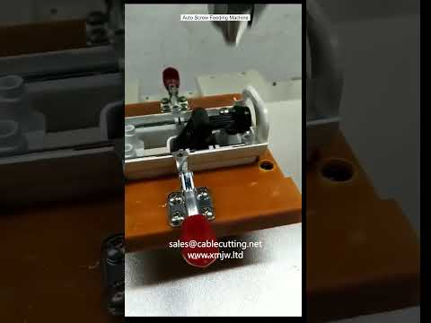 เครื่องป้อนสกรูอัตโนมัติ | เพิ่มประสิทธิภาพสายการผลิต