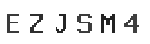 Verification Code Image